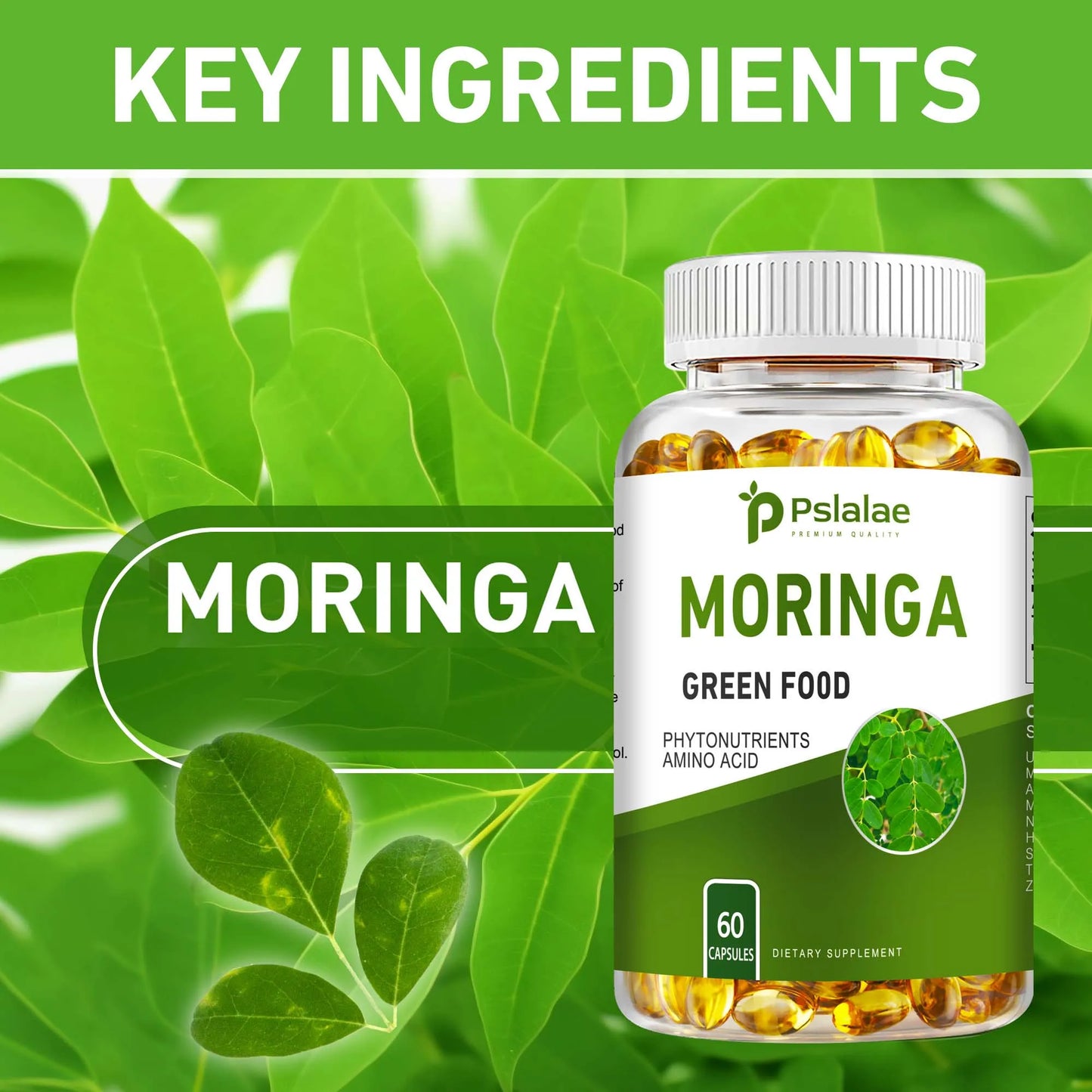 Moringa Capsules - Supports Digestion and Heart, Promotes Immune System Health and Brain Health - 60 Capsules