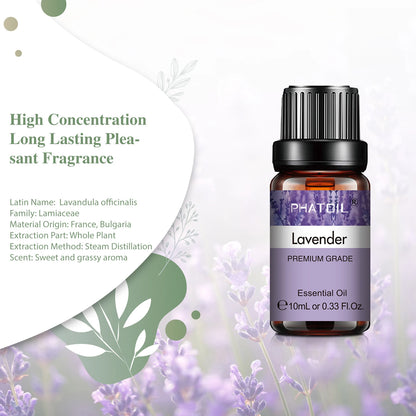 Camphor 10ml Essential Oils Pure Natural