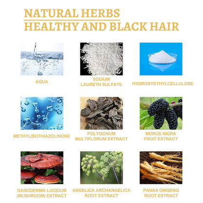 Black Ganoderma Lucidum Hair Liquid